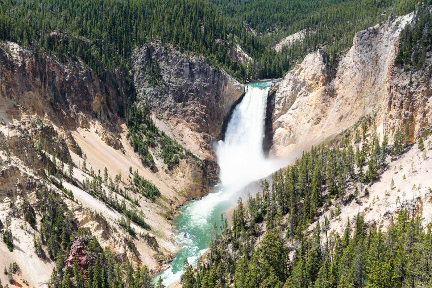 Canyon de Yellowstone