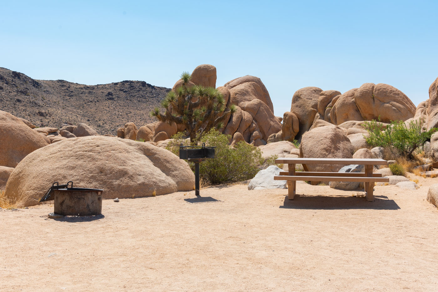 Dormir dans un campement au Joshua Tree National Park