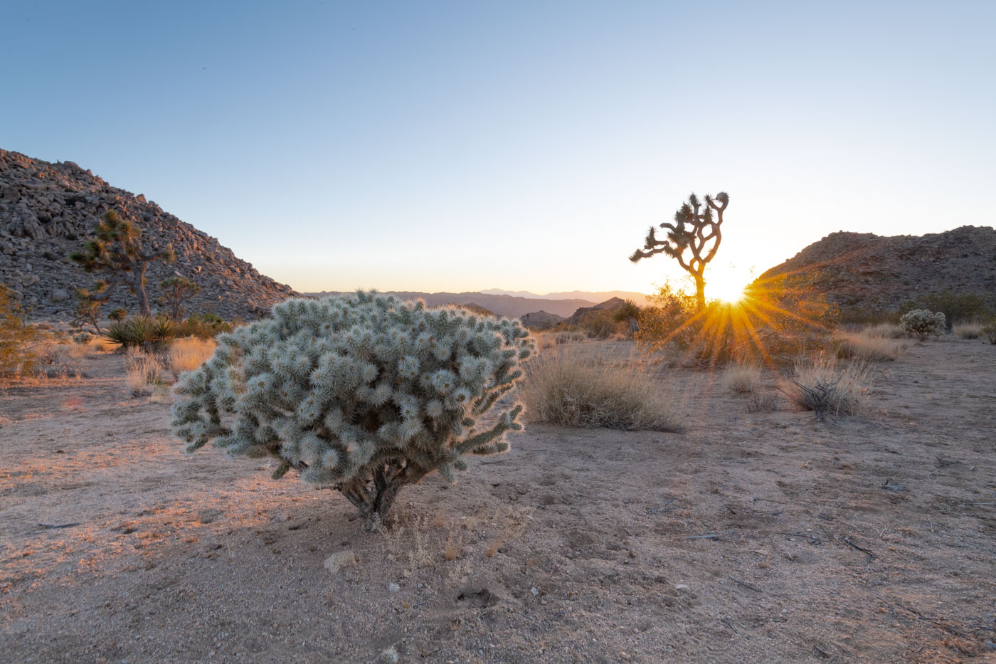 Dormir au Joshua Tree NP