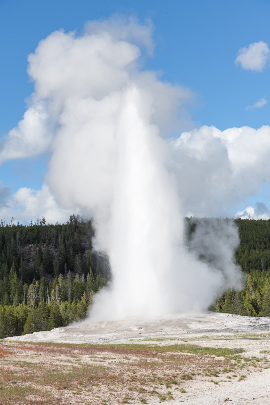 Geyser Old Faithful