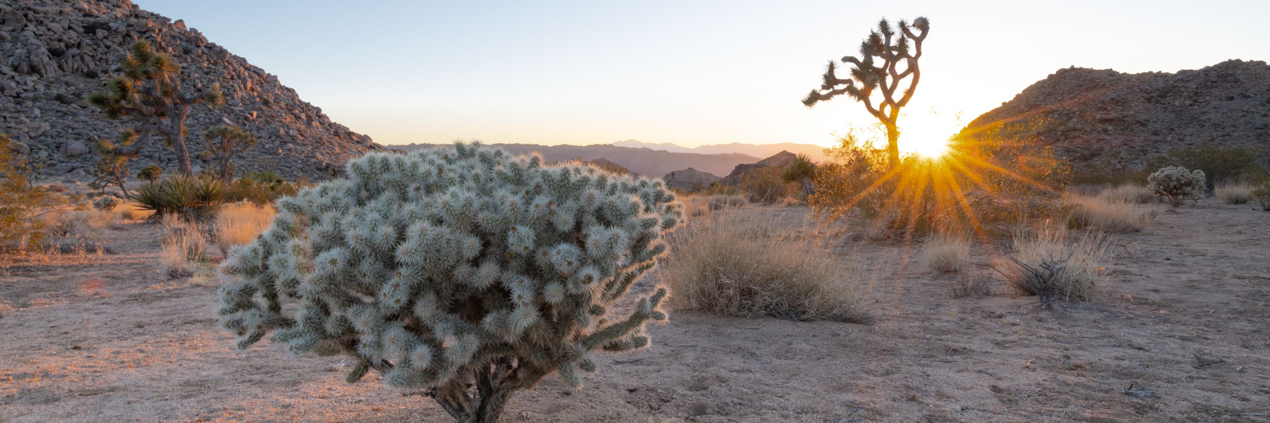 Où dormir à Joshua Tree