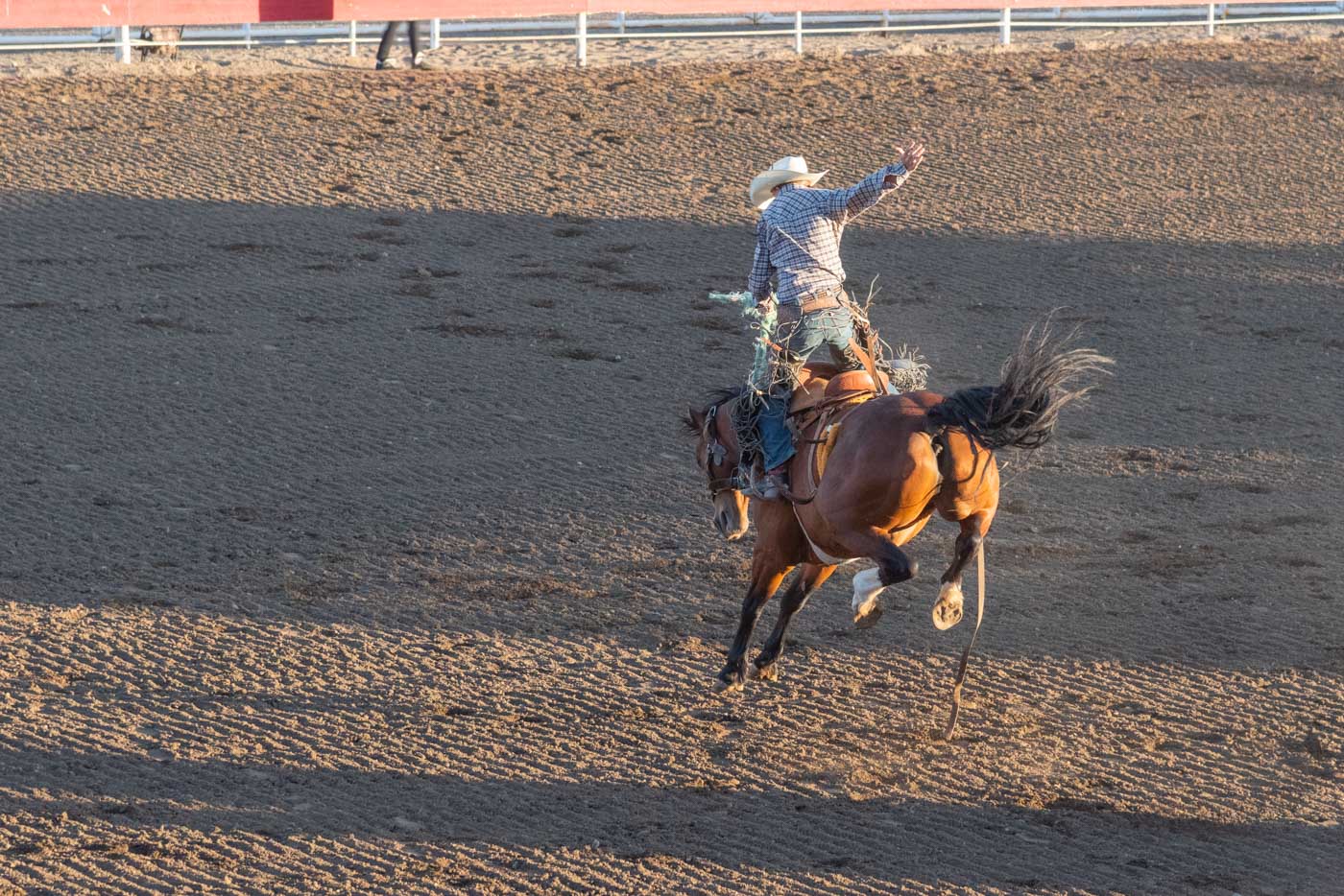 Rodeo Stampede à Cody