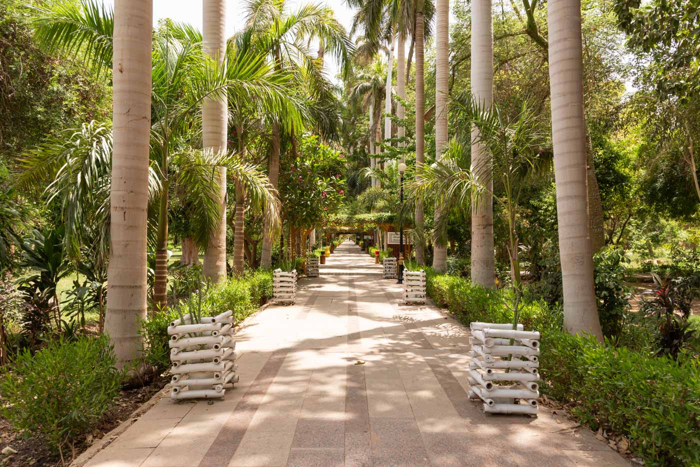 Jardin botanique à Assouan