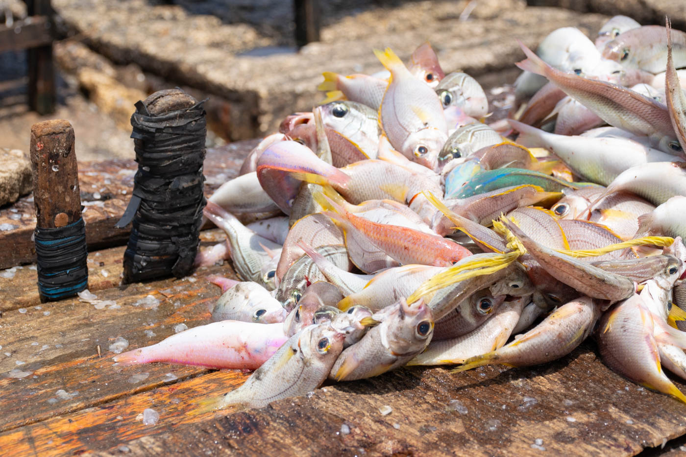 Fish market près du terminal de ferry de Stone Town