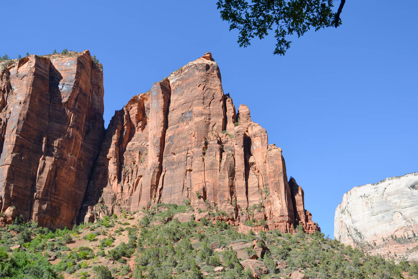 Parc national de Zion