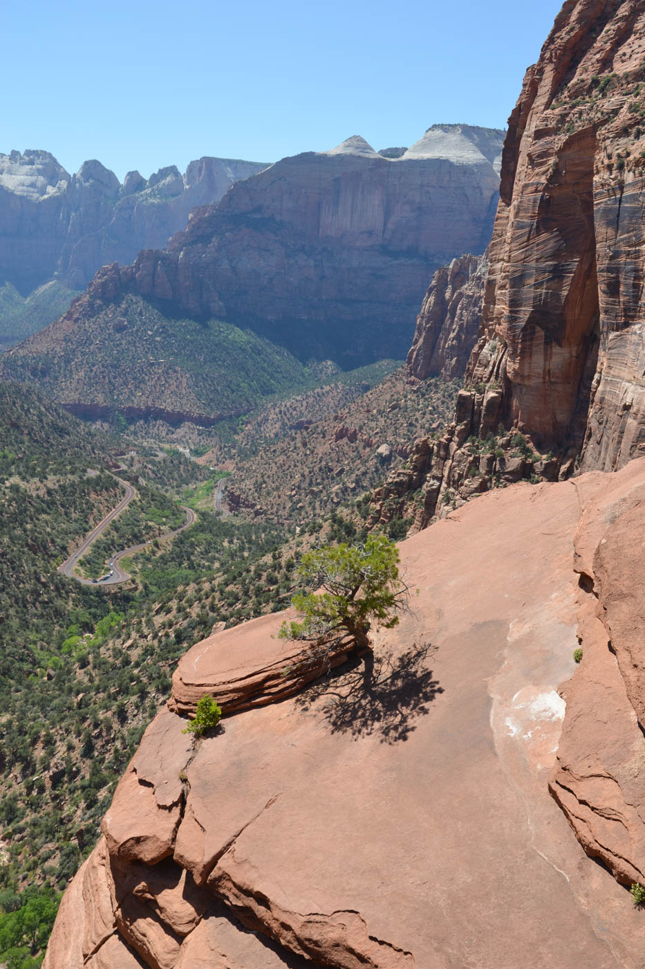 Point de vue à Zion NP